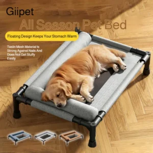 Raised Mesh Pet Bed with Pillow