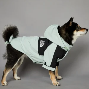 Light Mint Pet Clothes