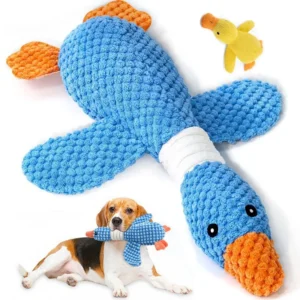 Toys for Aggressive Chewers
